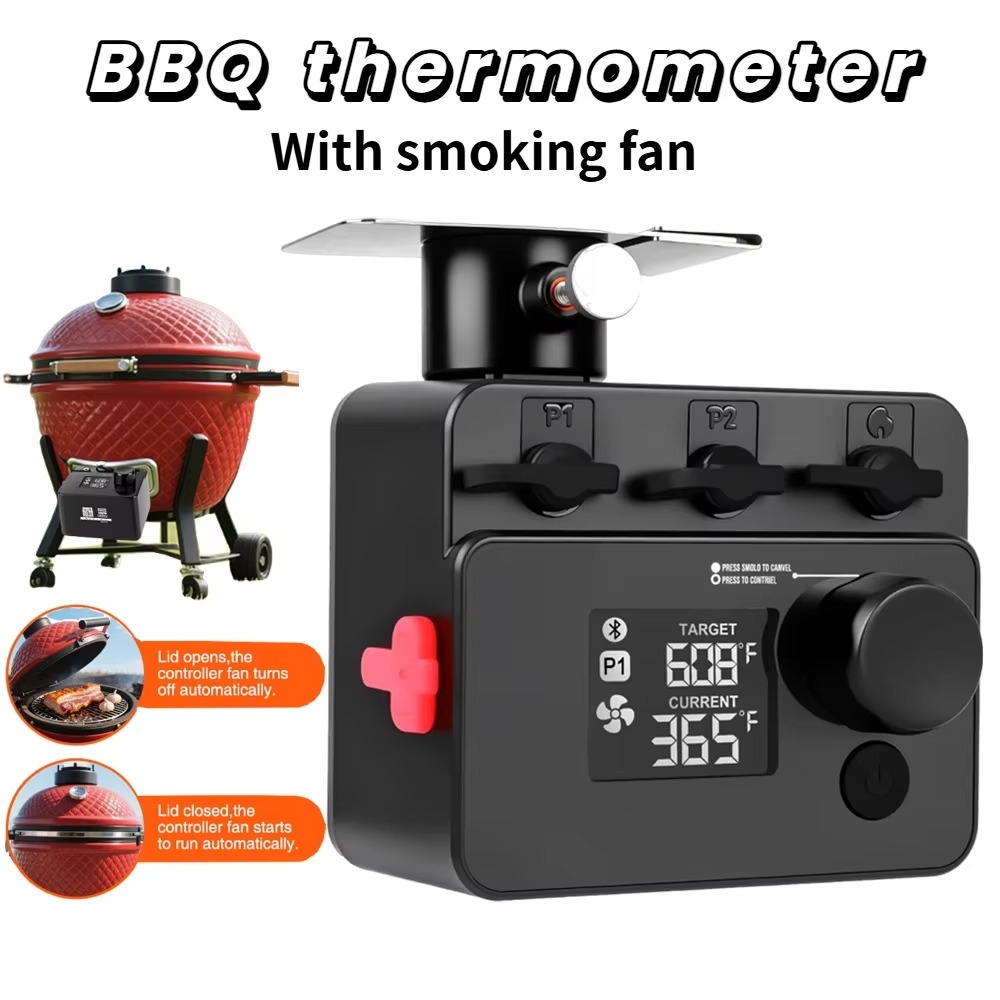 Termómetro inalámbrico Bluetoo - Electric Smoker Bbq reseña y precio